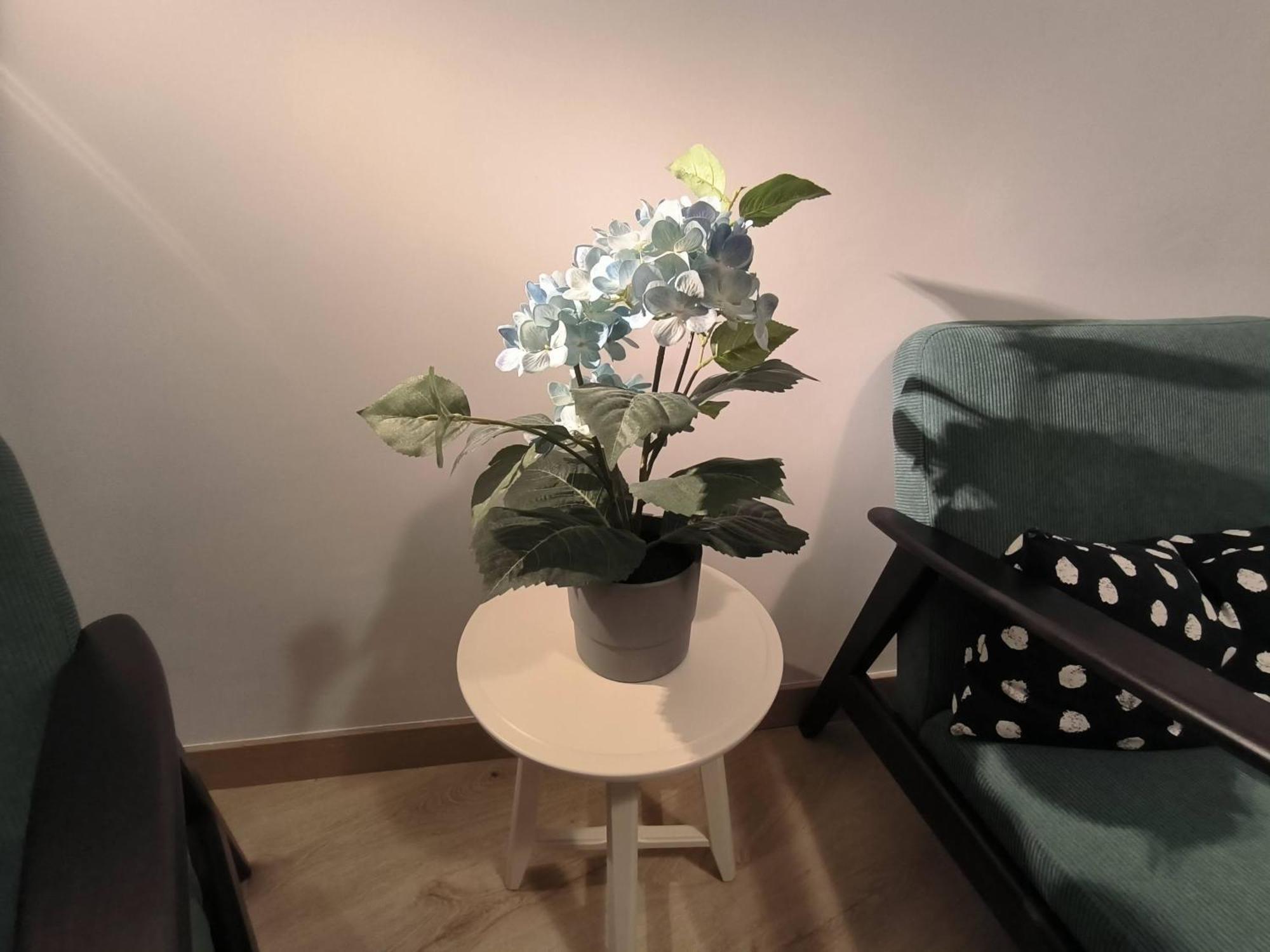 Apartamento Zabala Conoce Bilbao Desde Dentro Exterior photo